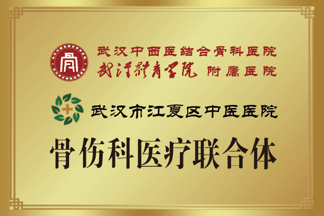 医联体-武汉市江夏区中医医院.jpg